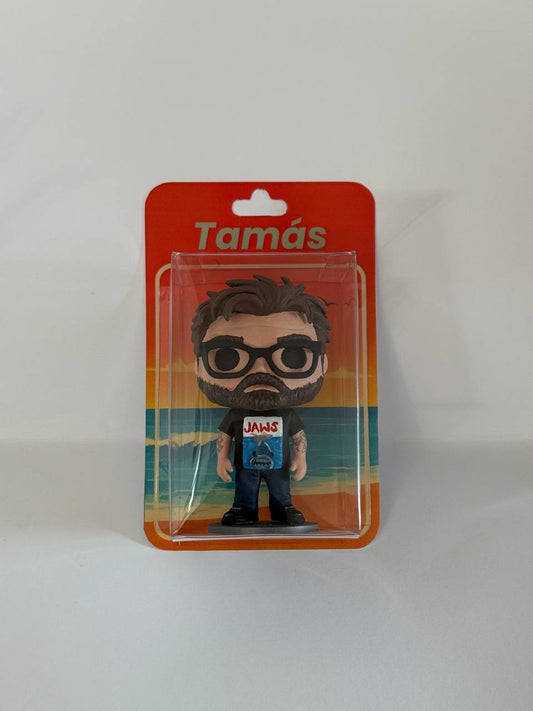 Egyedi Akciófigura Rólad - Funko stílusban